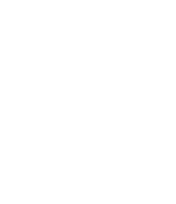 Aerlou wing